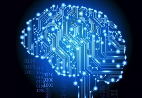 信息技术跑出加速度